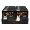 Cadora Katzennahrung Multipack Gelee 8 X 85 G, 8er Pack -Young Poets wine Geschäft 2185397000 prod 001