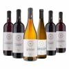 Sonstiges GRIES Weinpaket 6 Flaschen 12,5 - 13,5 % Vol Je 0,75 Liter -Young Poets wine Geschäft 2195740000 prod 001